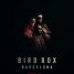 Bird Box Barcelona gets a new teaser