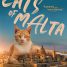 Cats of Malta – Watch the trailer for the new documentary