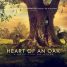 Review: Heart of an Oak – “a technical and cinematic wonder.”