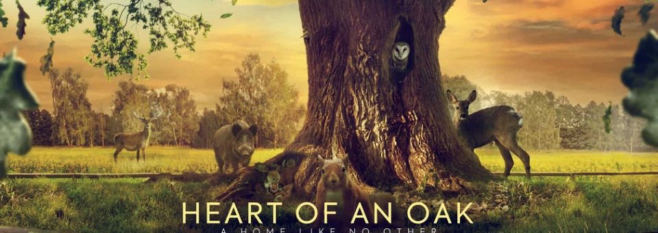 Review: Heart of an Oak – “a technical and cinematic wonder.”