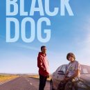 Black Dog – Watch the trailer for the new coming-of-age road trip drama