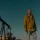 Landman – Watch Billy Bob Thornton in the trailer for the new series from Taylor Sheridan